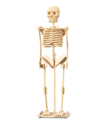 3D PUZZLES - HUMAN SKELETON
