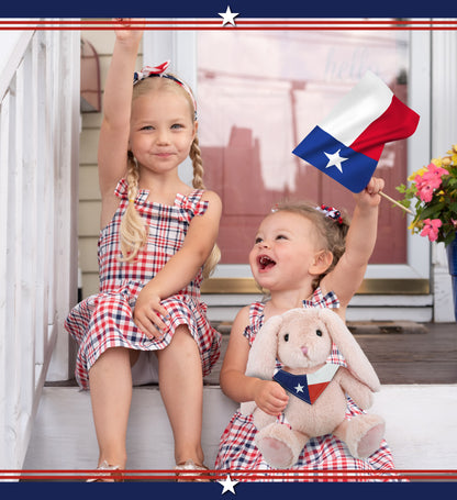 DolliBu Texas Flag Bandana Neck Scarf For Stuffed Animal Costume - 10 inches