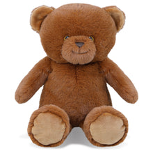 SUPER-SOFT PLUSH - BROWN BEAR 10"