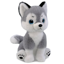 SUPER SOFT PLUSH - HUSKY 10.75"