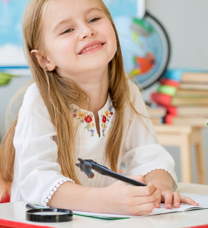 PLANET PEN - ANIMALS - BLACK HORSE