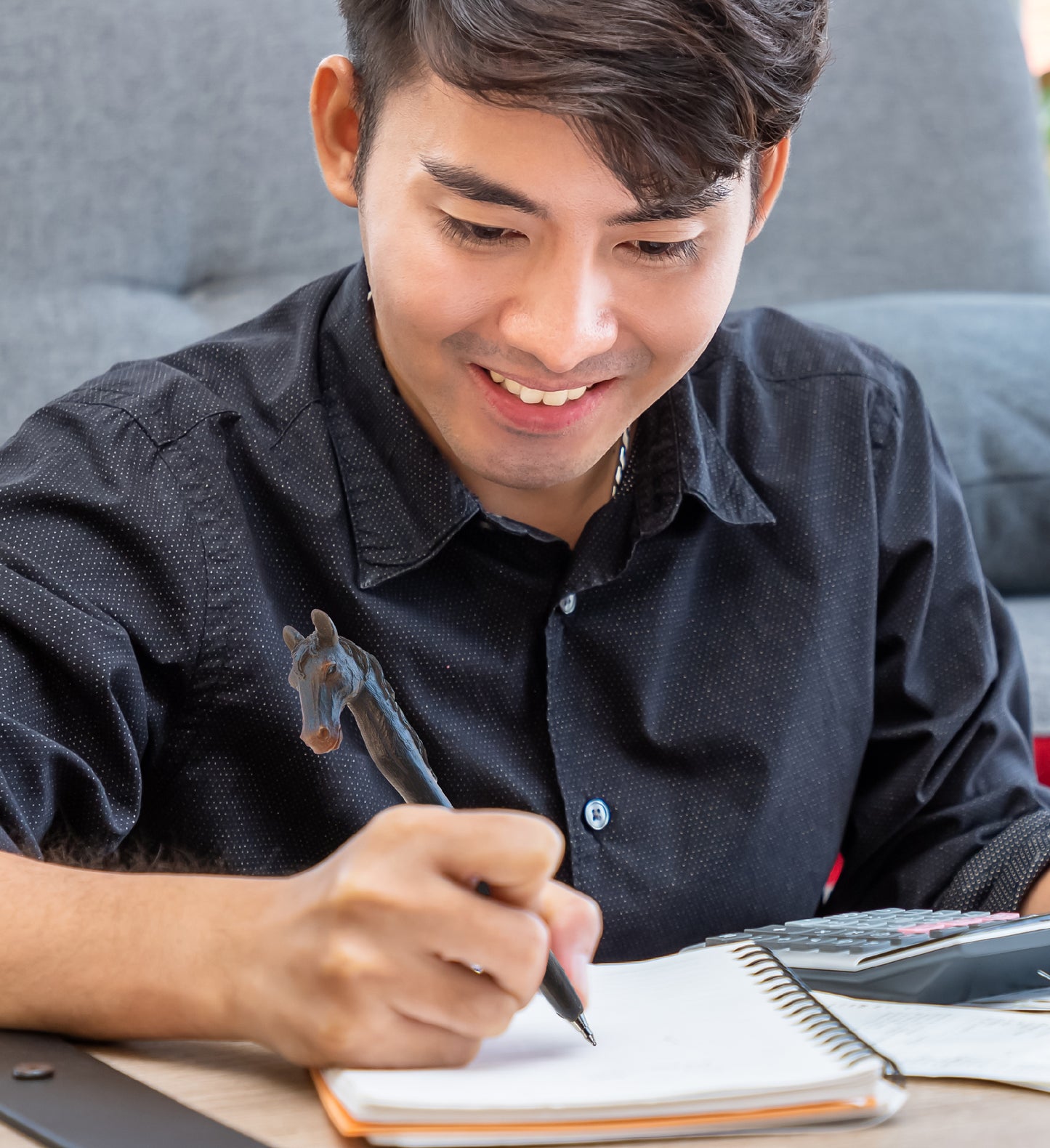 PLANET PEN - ANIMALS - BLACK HORSE