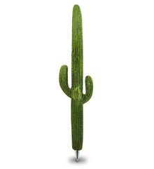 PLANET PENS - CACTUS