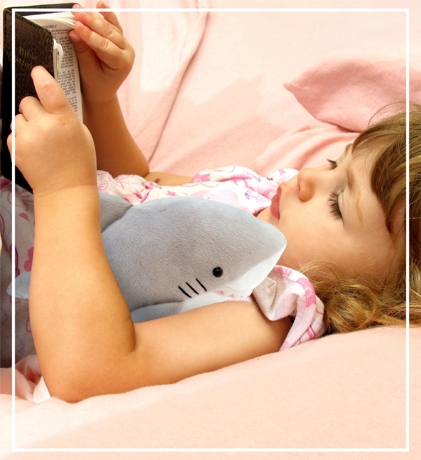 6" PLUSH - SHARK