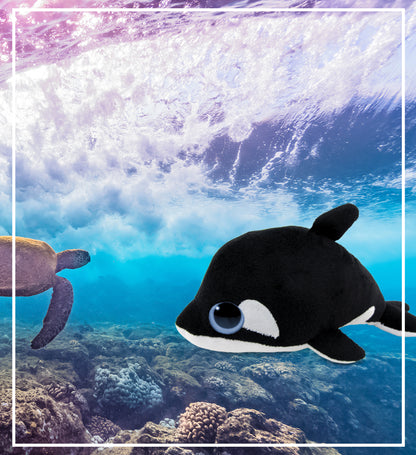BIG EYE 6" PLUSH - KILLER WHALE