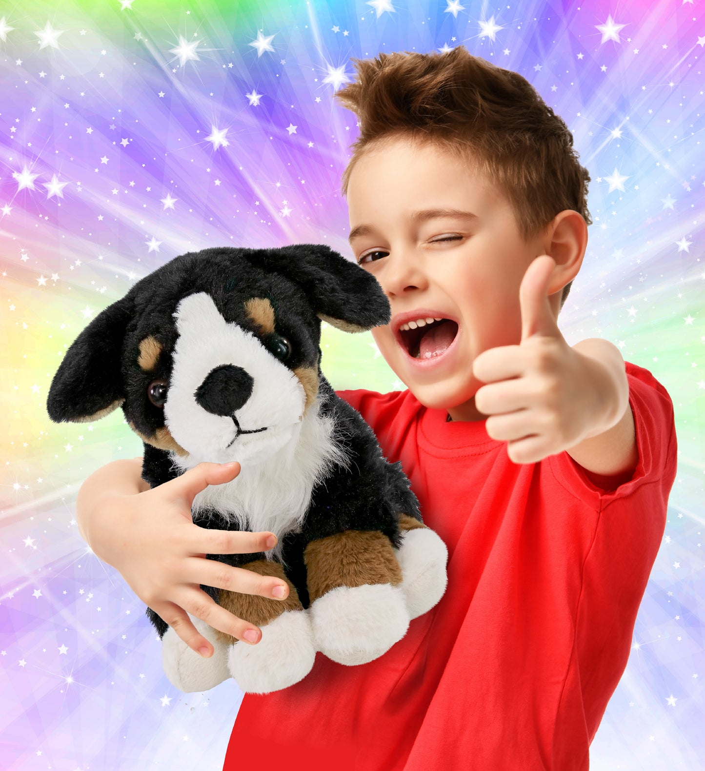 SUPER SOFT PLUSH - BERNESE DOG