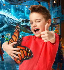 WILD COLLECTION PLUSH - ORANGE BUTTERFLY 12"