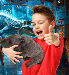 WILD COLLECTION PLUSH - RHINO 15"