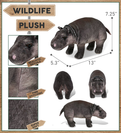 WILD COLLECTION PLUSH - HIPPO 13"