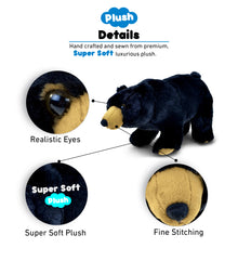 SUPER SOFT PLUSH - WILD SMALL BLACK BEAR