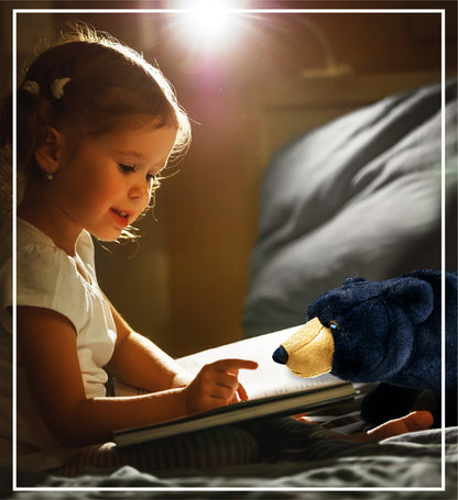 SUPER SOFT PLUSH - WILD LARGE BLACK BEAR