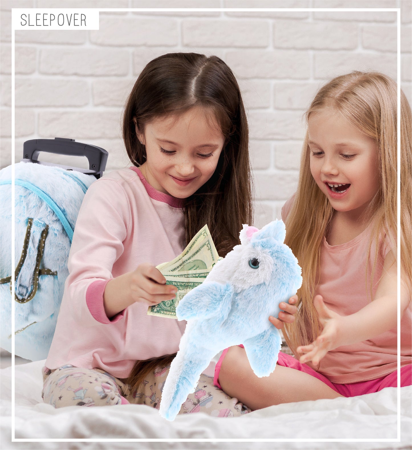 SUPER SOFT PLUSH TROLLEY & PURSE - DOLPHIN