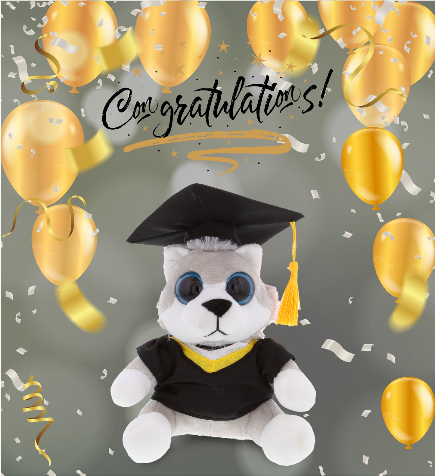 GRADUATION DRESS UP SET - SMALL