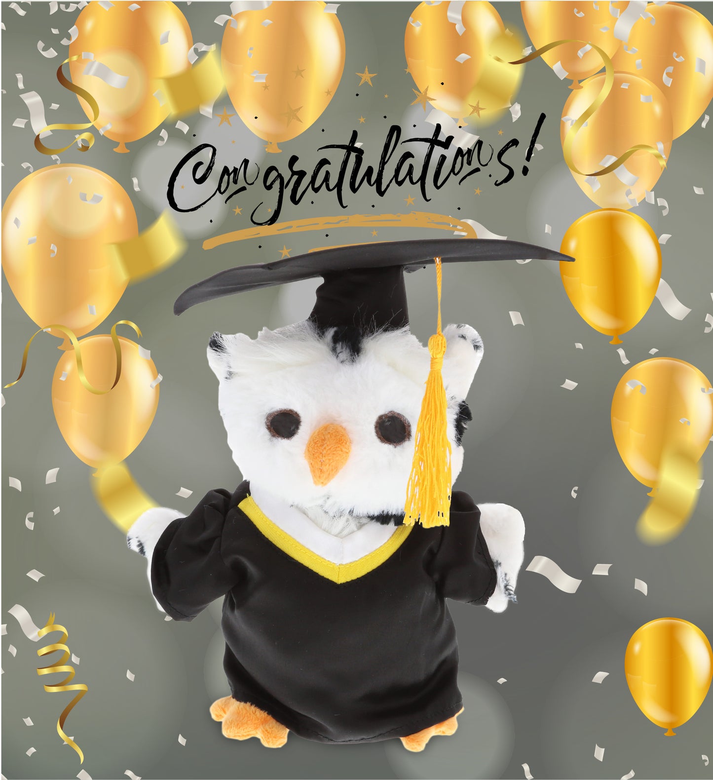 GRADUATION DRESS UP SET - LARGE