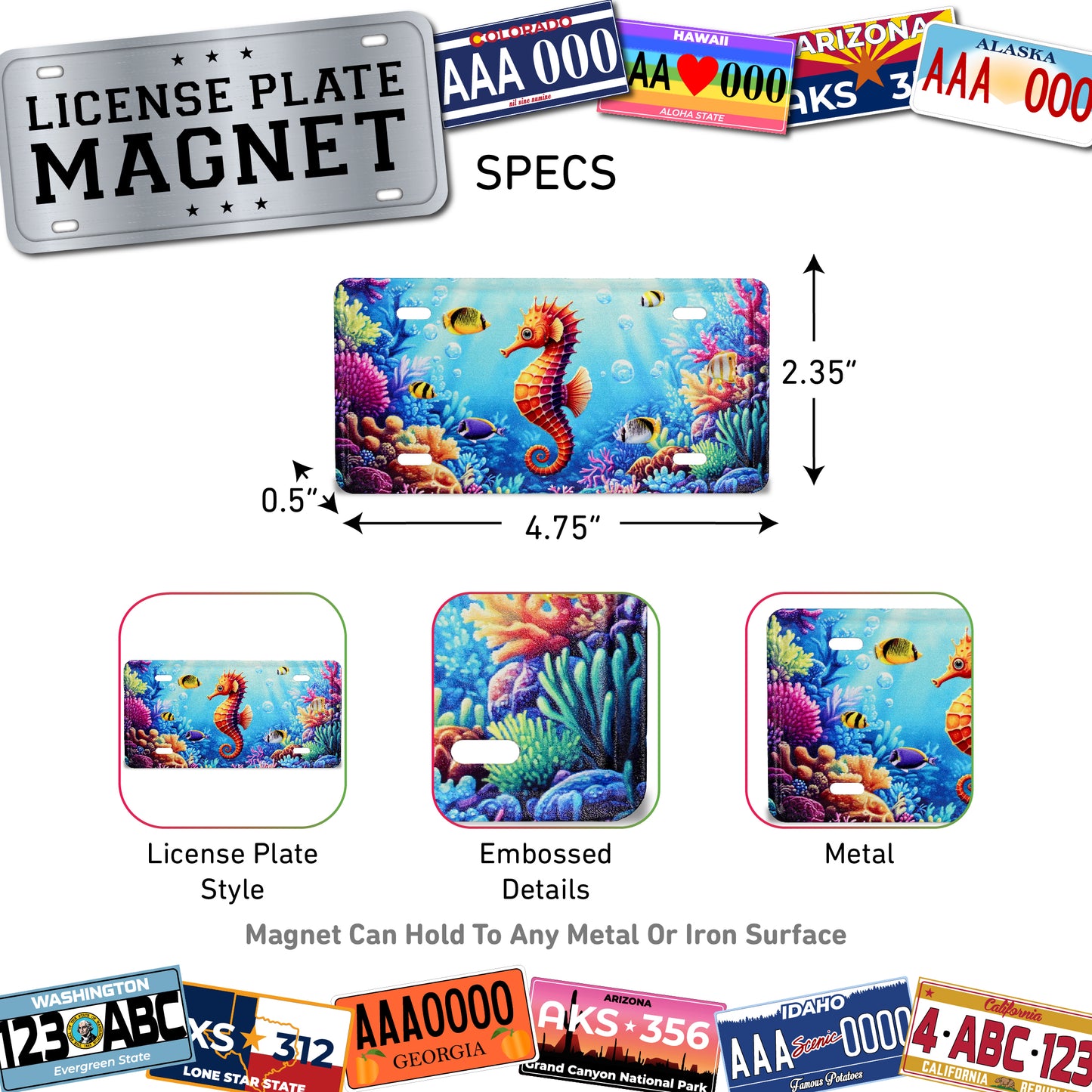LICENSE PLATE MAGNET - SEAHORSE
