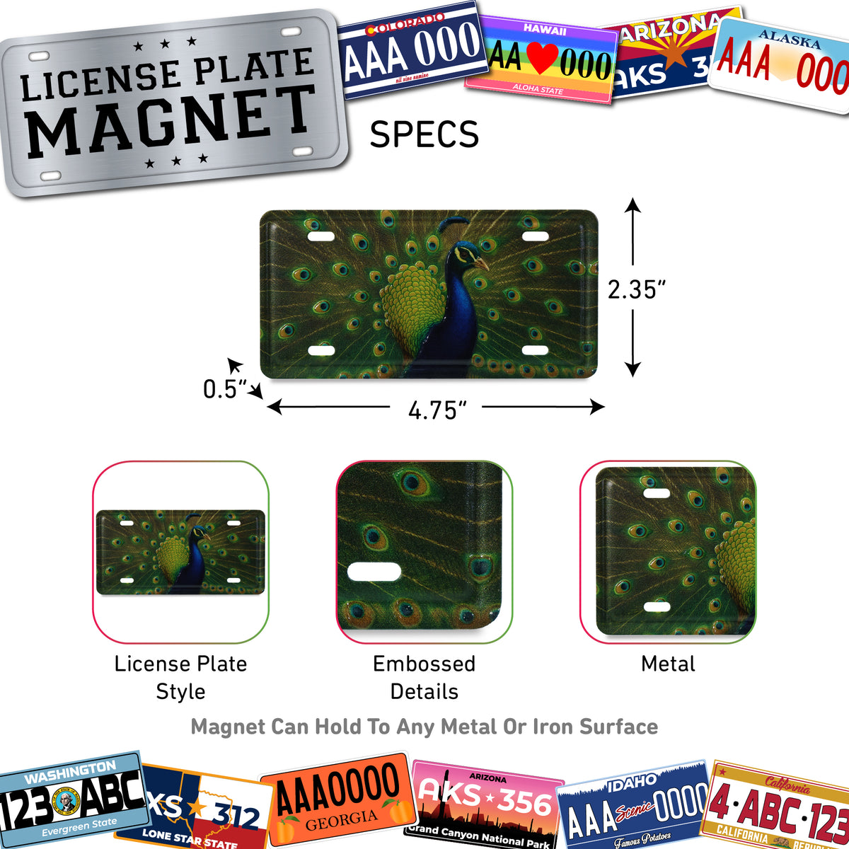 LICENSE PLATE MAGNET - PEACOCK