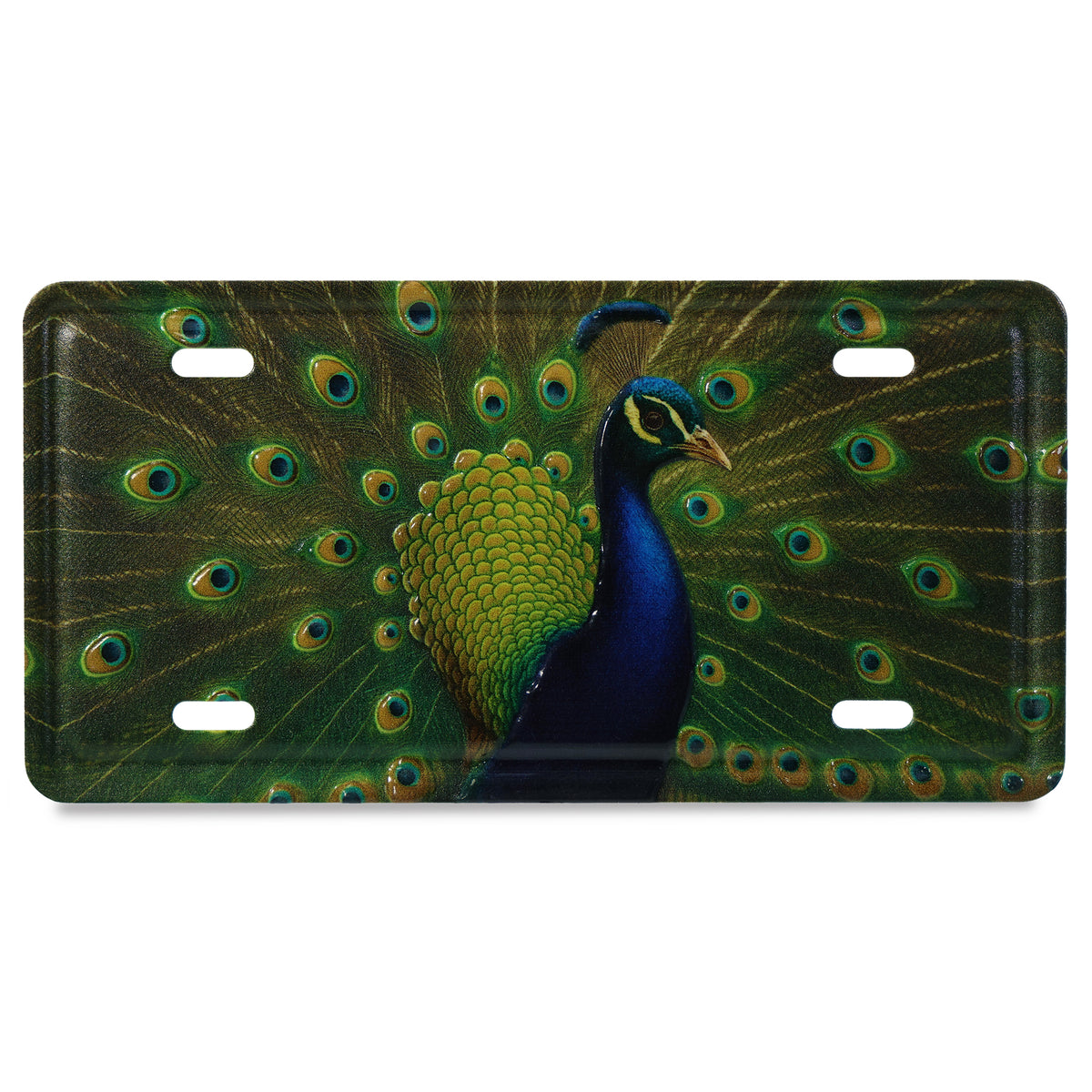LICENSE PLATE MAGNET - PEACOCK
