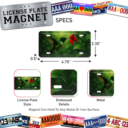 LICENSE PLATE MAGNET - HUMMINGBIRD