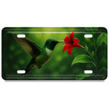 LICENSE PLATE MAGNET - HUMMINGBIRD