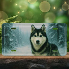 LICENSE PLATE MAGNET - HUSKY