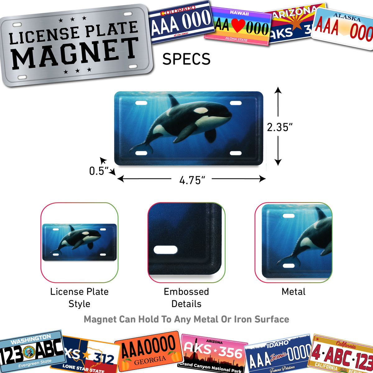 LICENSE PLATE MAGNET - ORCA KILLER WHALE