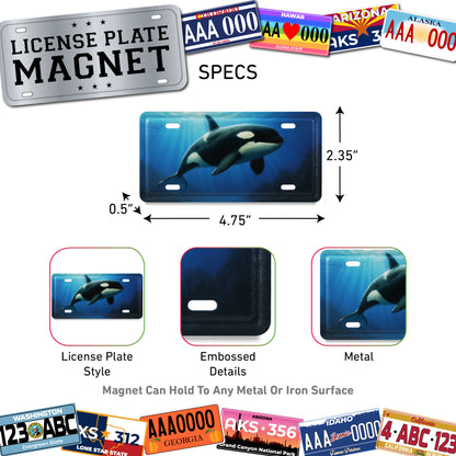 LICENSE PLATE MAGNET - ORCA KILLER WHALE