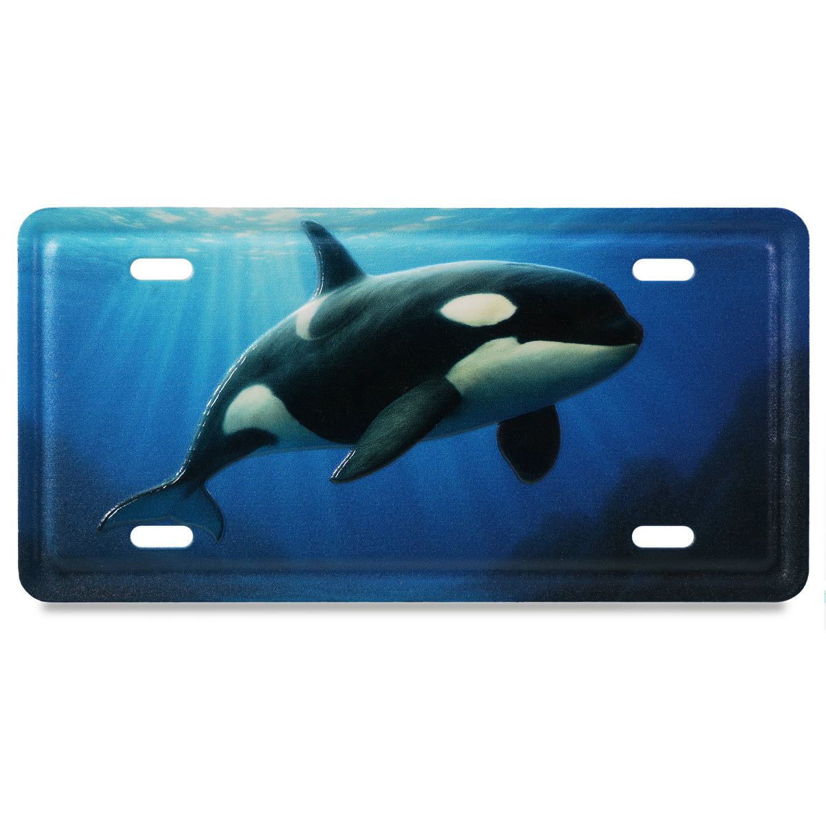 LICENSE PLATE MAGNET - ORCA KILLER WHALE