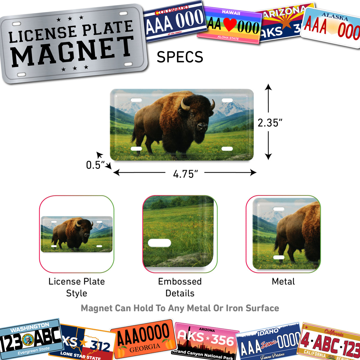LICENSE PLATE MAGNET - BISON