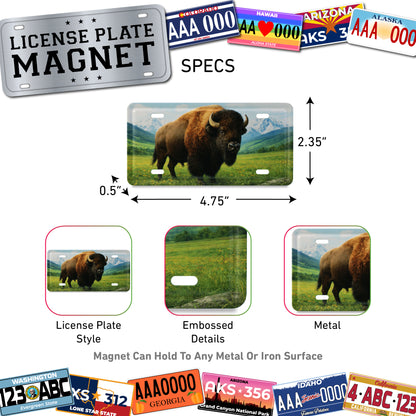 LICENSE PLATE MAGNET - BISON