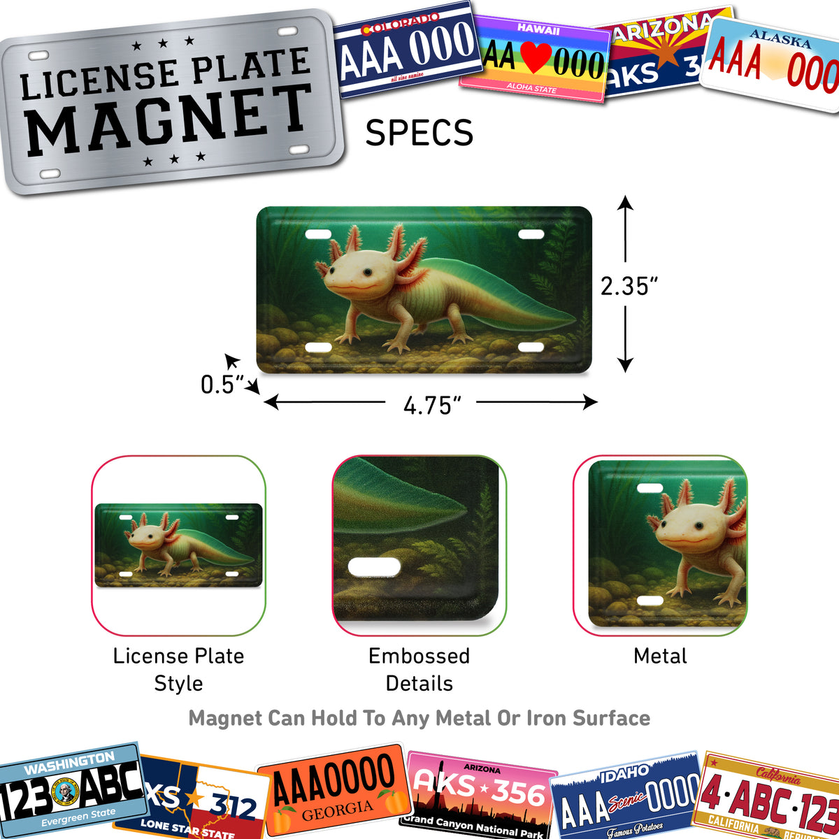 LICENSE PLATE MAGNET - UNDERWATER AXOLOTL
