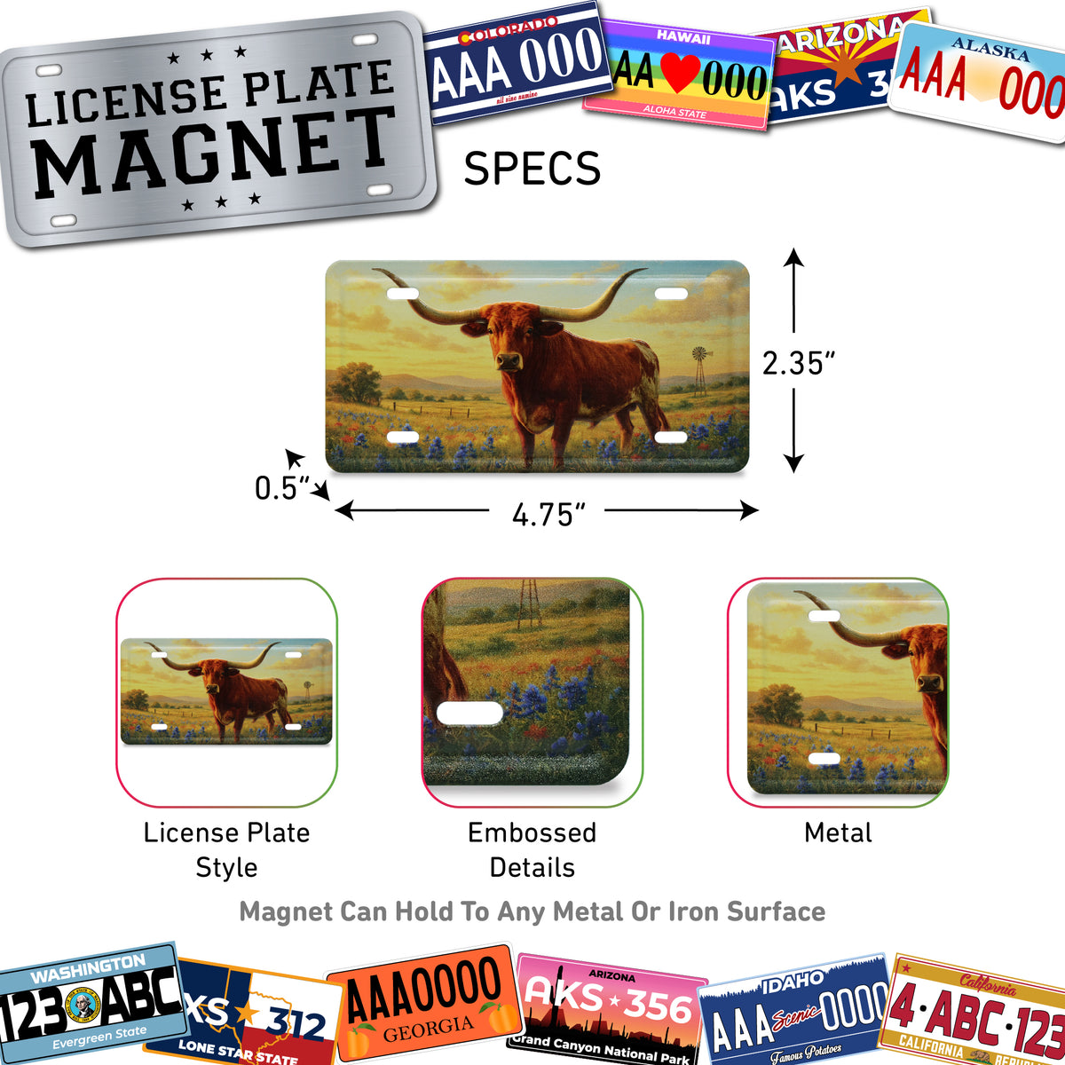 LICENSE PLATE MAGNET - LONGHORN