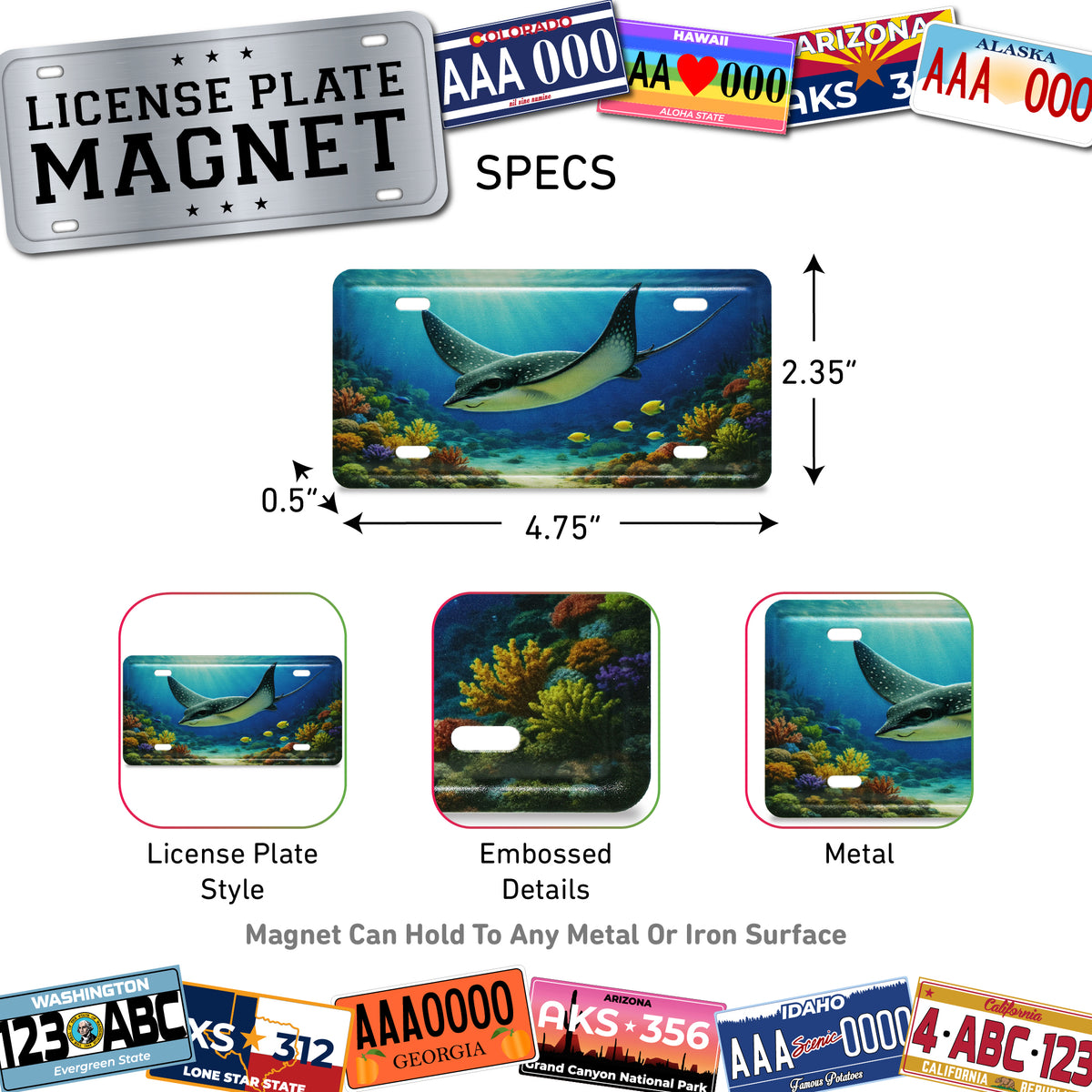 LICENSE PLATE MAGNET - STINGRAY