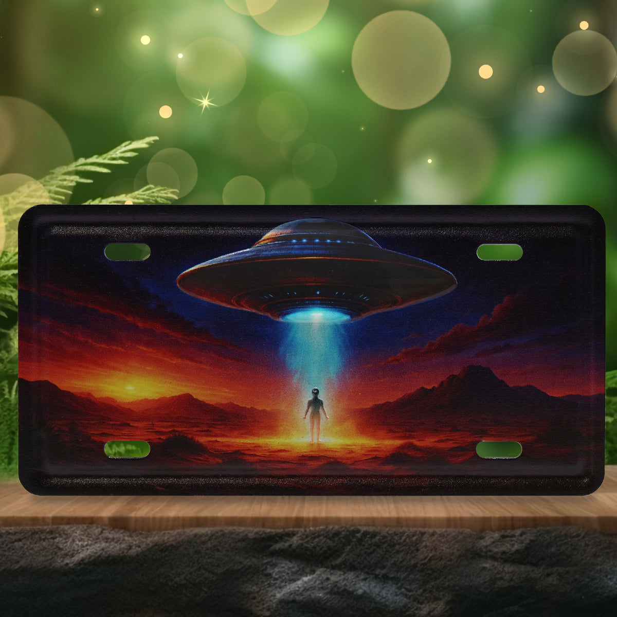 LICENSE PLATE MAGNET - UFO