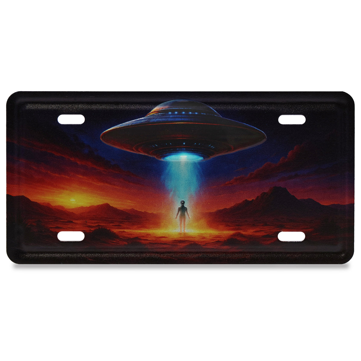 LICENSE PLATE MAGNET - UFO