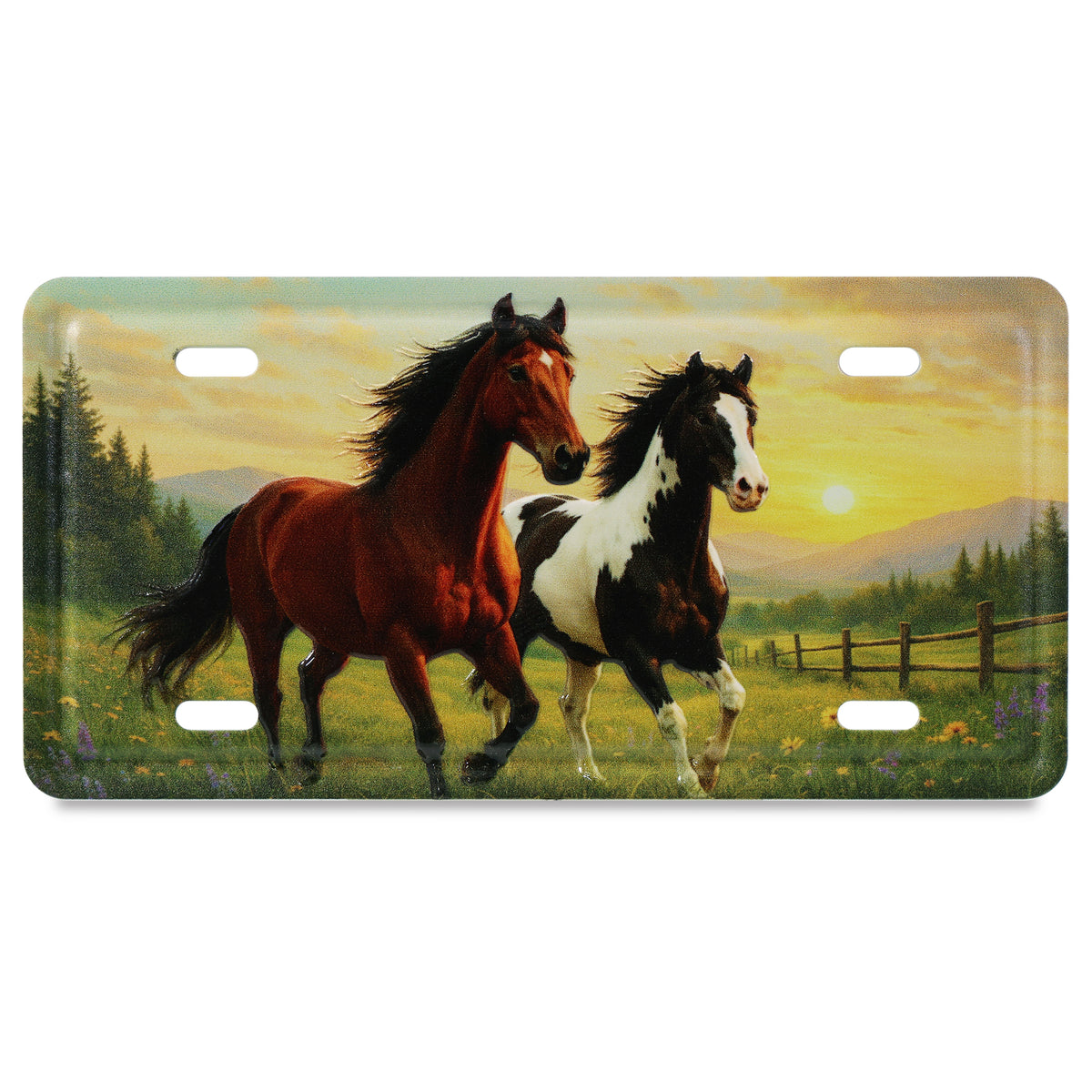 LICENSE PLATE MAGNET - HORSES