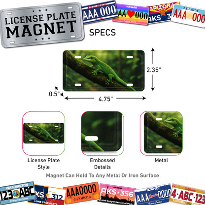 LICENSE PLATE MAGNET - GECKO