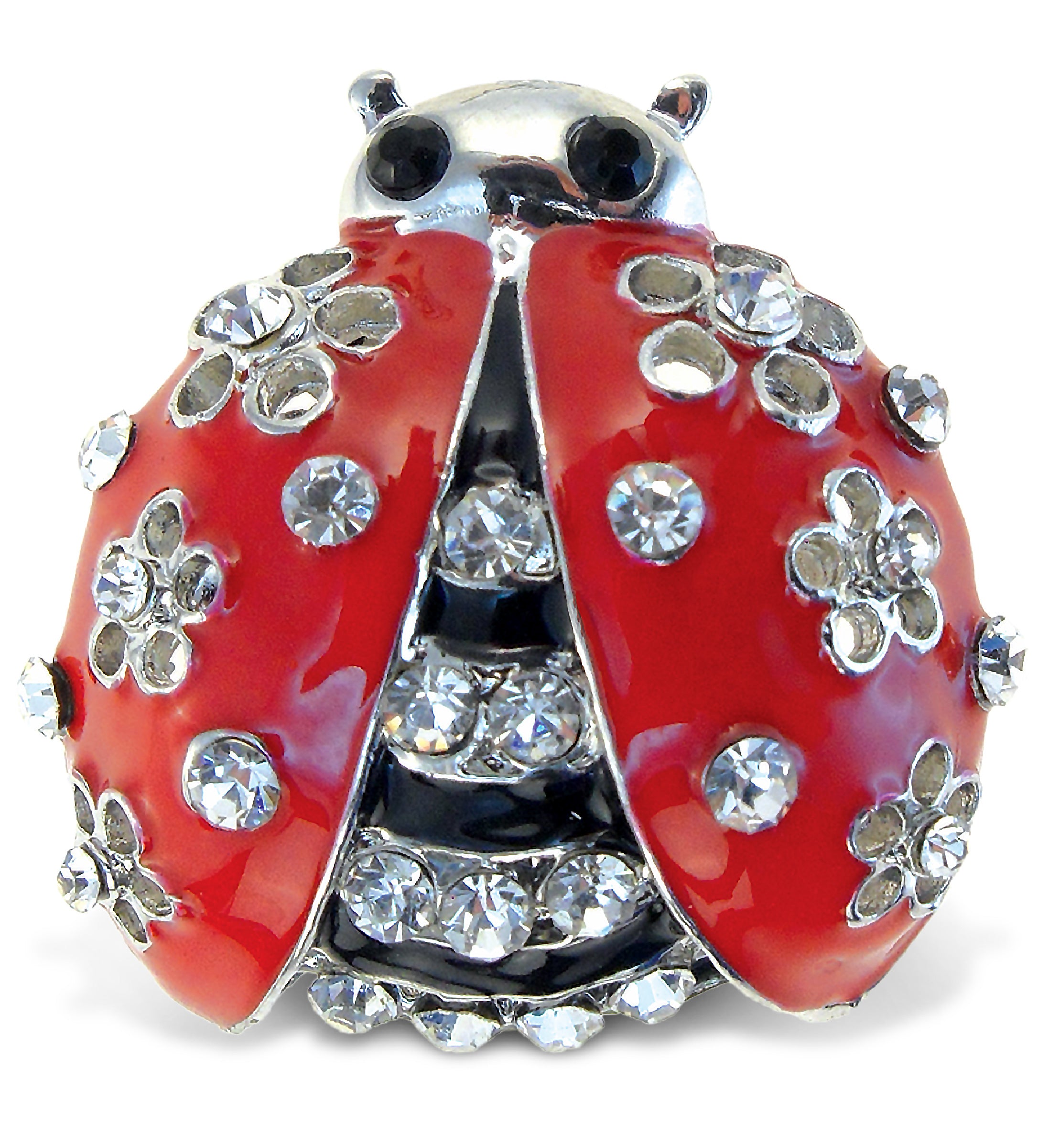 SPARKLING MAGNETS - LADYBUG