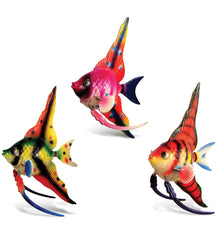 BOBBLE MAGNET - ANGEL FISH HIGH FIN