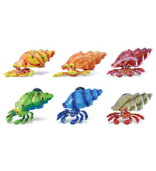 BOBBLE MAGNET - HERMIT CRAB