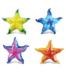 BOBBLE MAGNET - STARFISH