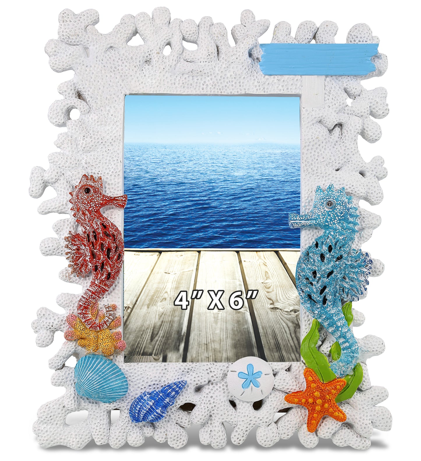 CoTa Global Handmade White Coral Seahorse 4x6 Nautical Photo Frame - 8 Inches