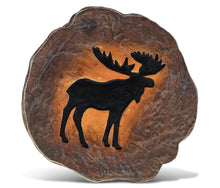 THE WILD  - COASTER - MOOSE