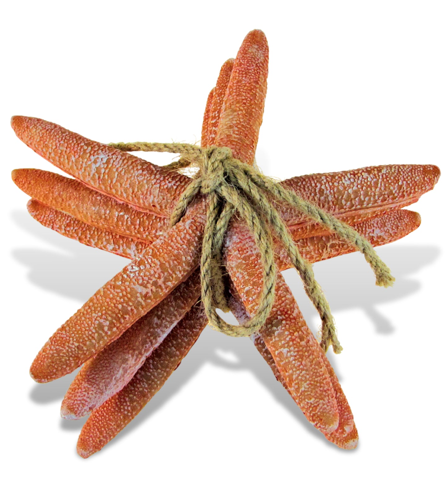 NAUTICAL DÃƒâ€°COR - RESIN ORANGE STARFISH