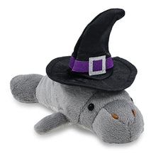 WILD COLLECTION PLUSH - 9" GREY MANATEE WITCH