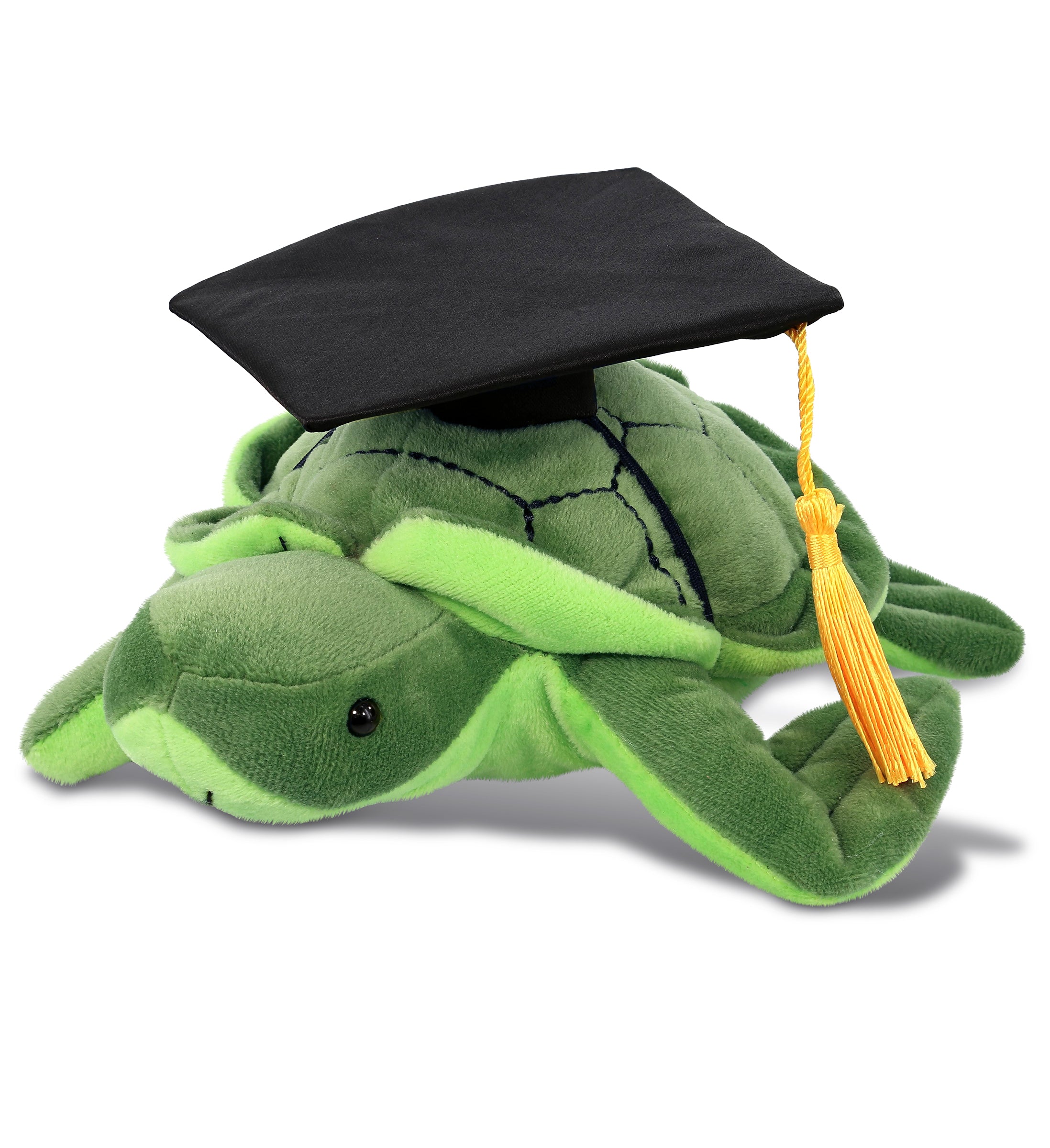 PLUSH GRADUATION - 6" PLUSH - SEA TURTLE