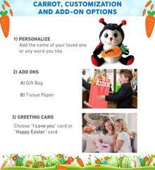 DolliBu Happy Easter Soft Plush Sitting Ladybug with Carrot Plush - 9 Inches