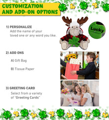 DolliBu Moose with Red Plaid Outfit Plush with Green Plush Shamrock - 9 Inches