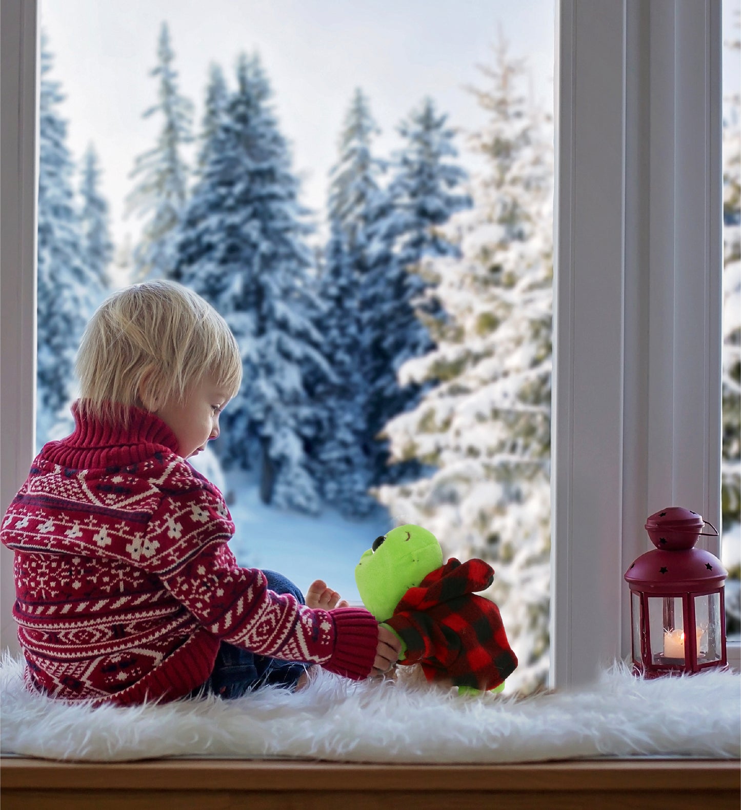 BIG EYE 6" PLUSH - BLUE SHELL SEA TURTLE WITH RED PLAID HOODIE