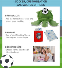 SUPER-SOFT PLUSH - GREEN SEA TURTLE 13" with Soccer Plush