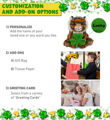 DolliBu Cute Squat Tiger Stuffed Animal with Green Plush Shamrock - 8 Inches